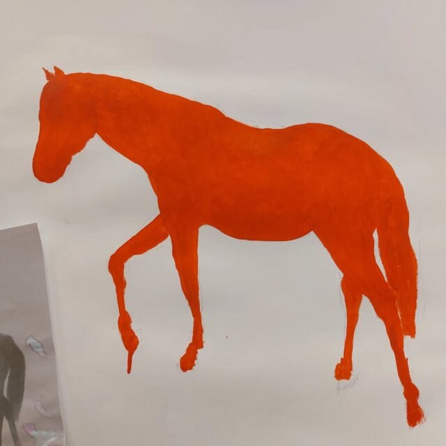 Starting a new drawing. Pony proportions are very peculiar.